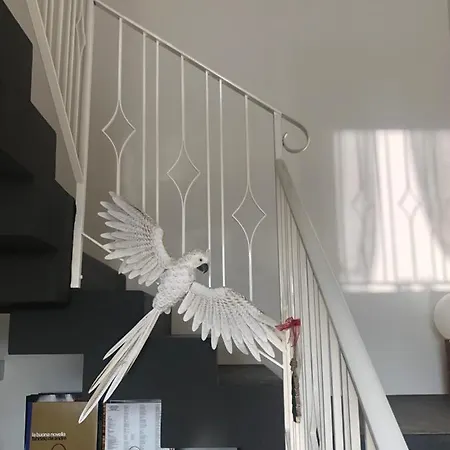 I Merisi Alojamento de Turismo Rural *