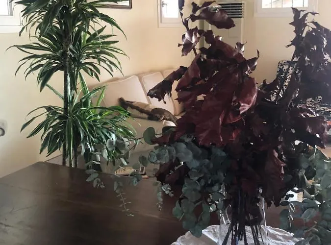 팜스테이 I Merisi 포를리